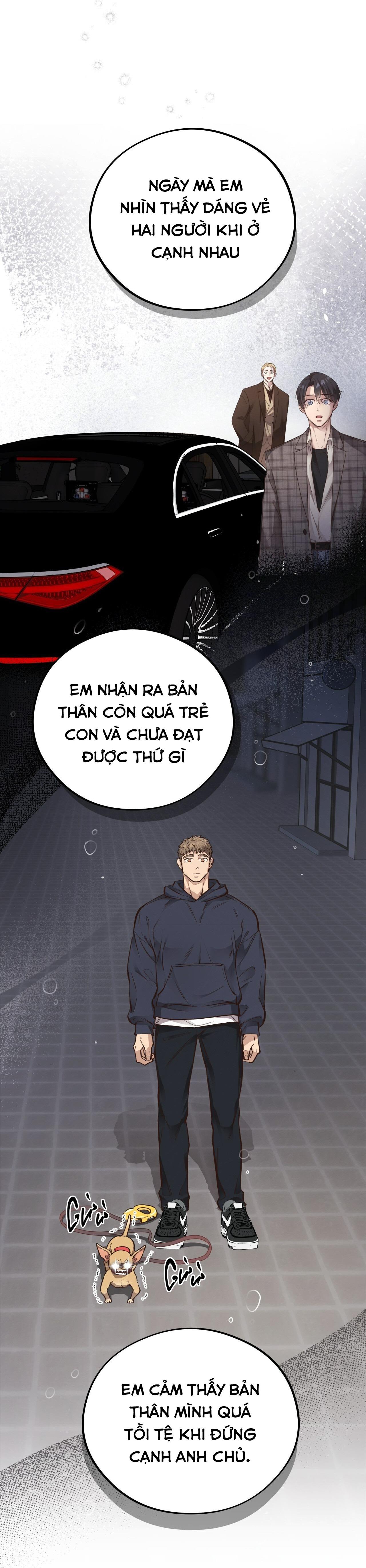 (END) MẬT GẤU Chapter 49 - Next Chapter 50
