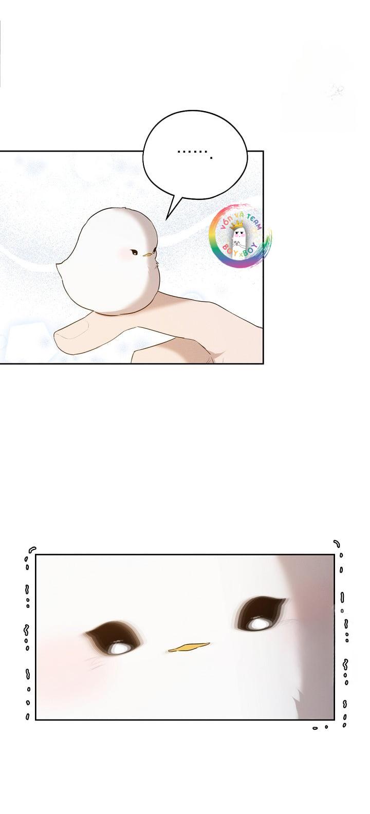 (END) Này, Đừng Có Nhấn Cái Nút Đó! Chapter 10 - Trang 2