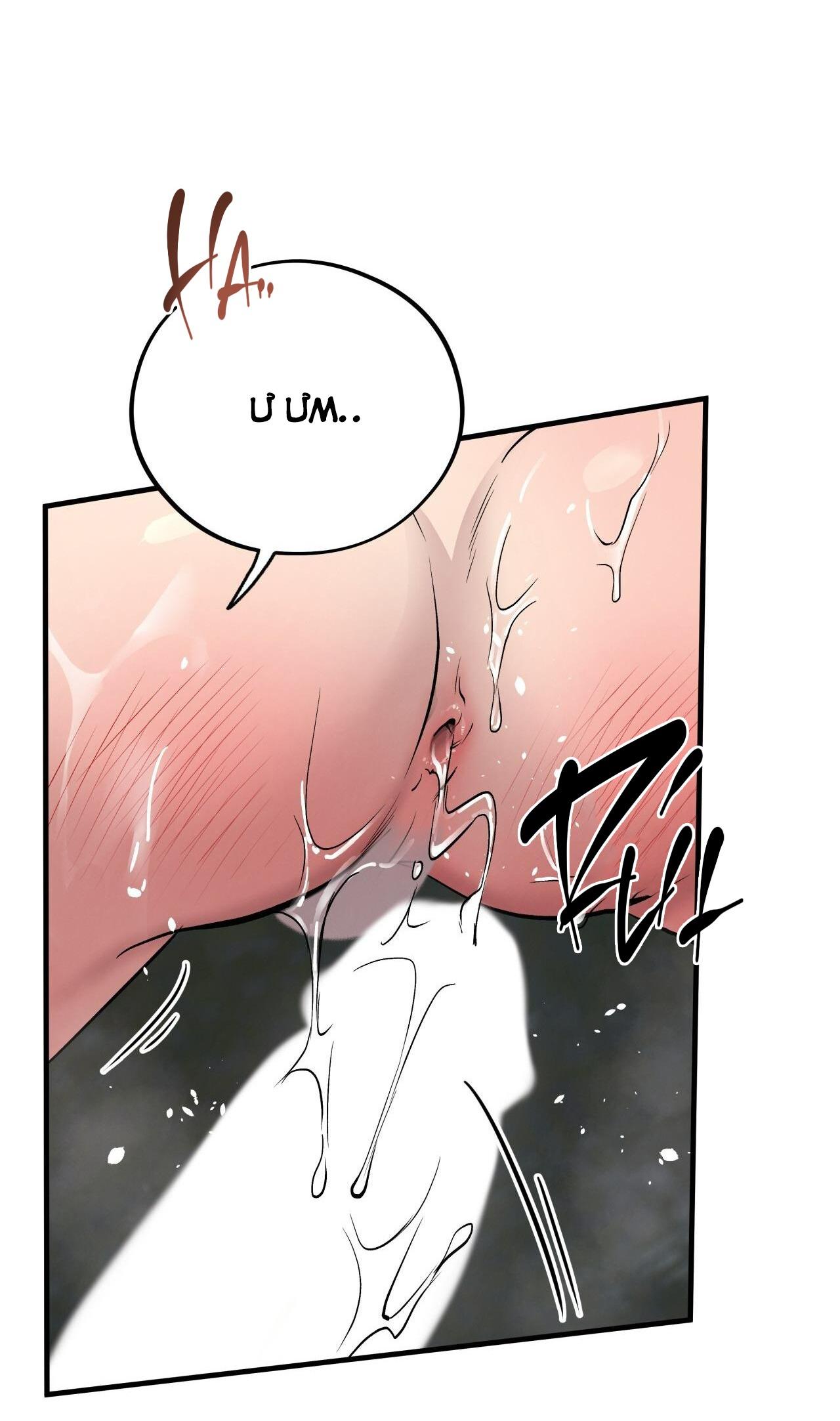 (END) MẬT GẤU Chapter 49 - Next Chapter 50