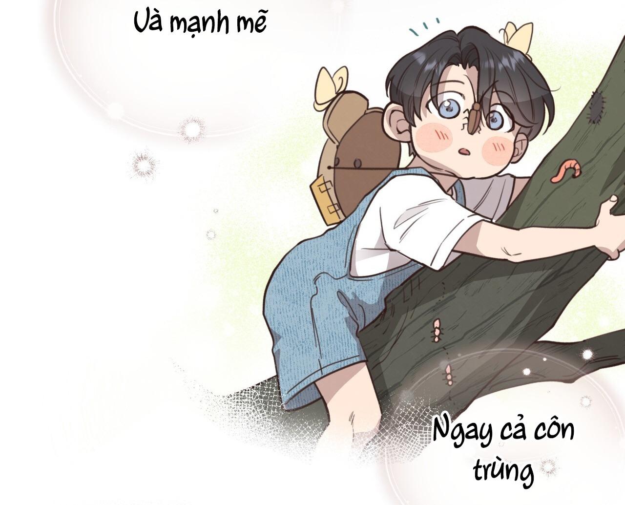 (END) MẬT GẤU Chapter 38 - Next Chapter 39