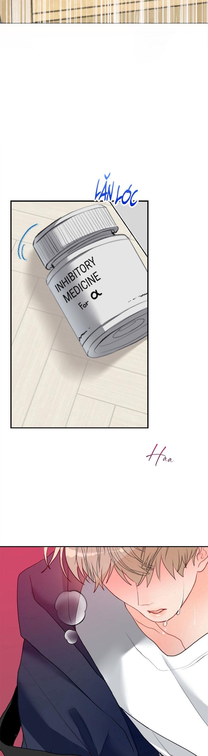 (ABO) OMEGA CỦA ANH TRAI Chapter 1 - Trang 2