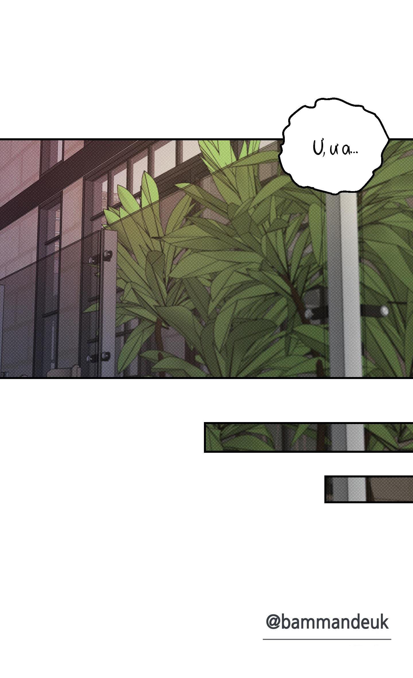 |DROP| Hưởng Lợi Chapter 15 H+ - Trang 2