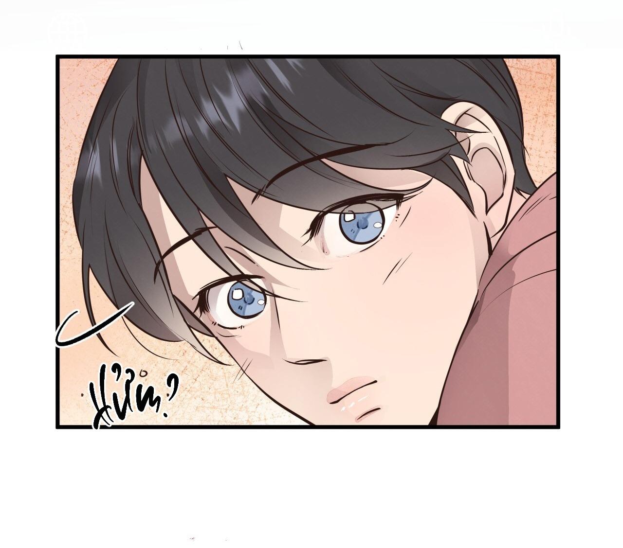 (END) MẬT GẤU Chapter 40 - Next Chapter 41