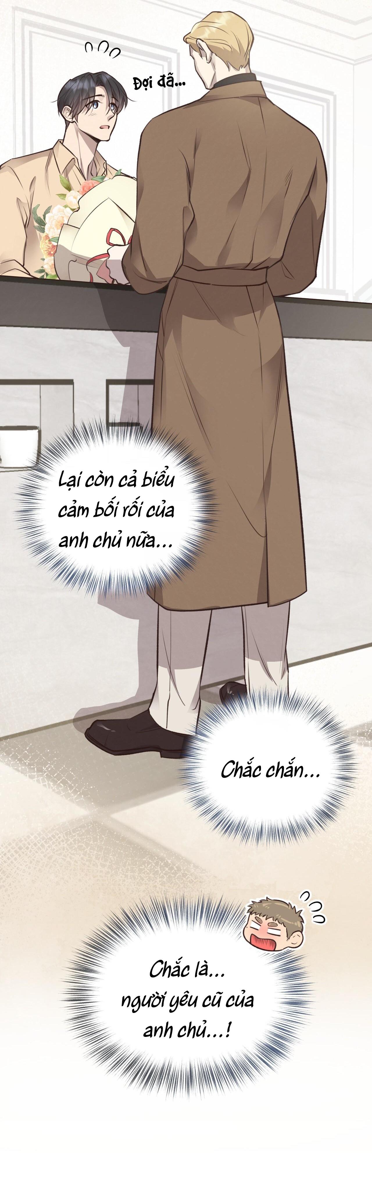 (END) MẬT GẤU Chapter 36 - Next Chapter 37