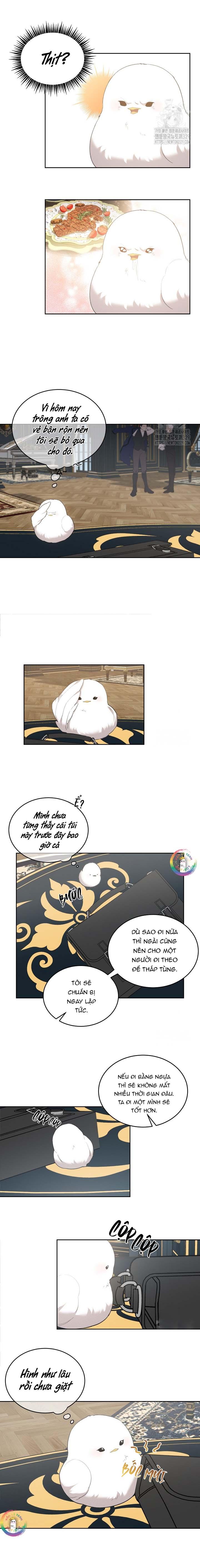 (END) Này, Đừng Có Nhấn Cái Nút Đó! Chapter 8 - Trang 2