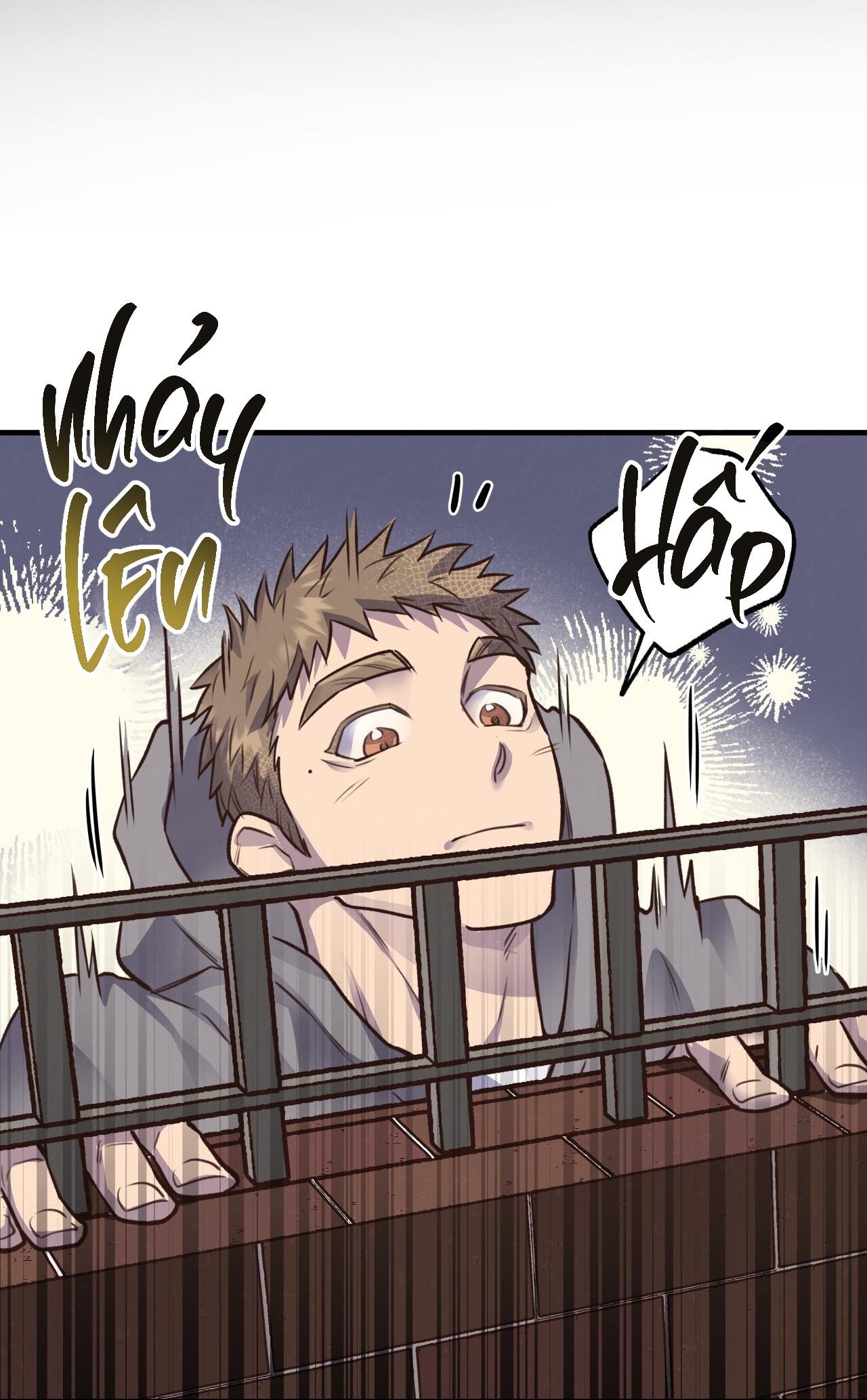 (END) MẬT GẤU Chapter 37 - Next Chapter 38