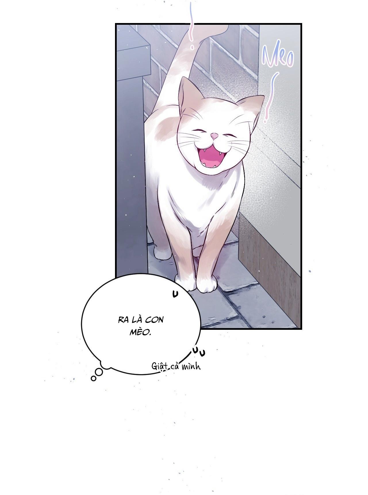 (GĐCV) IMPERFECTLY US Chapter 1 H+ - Trang 2