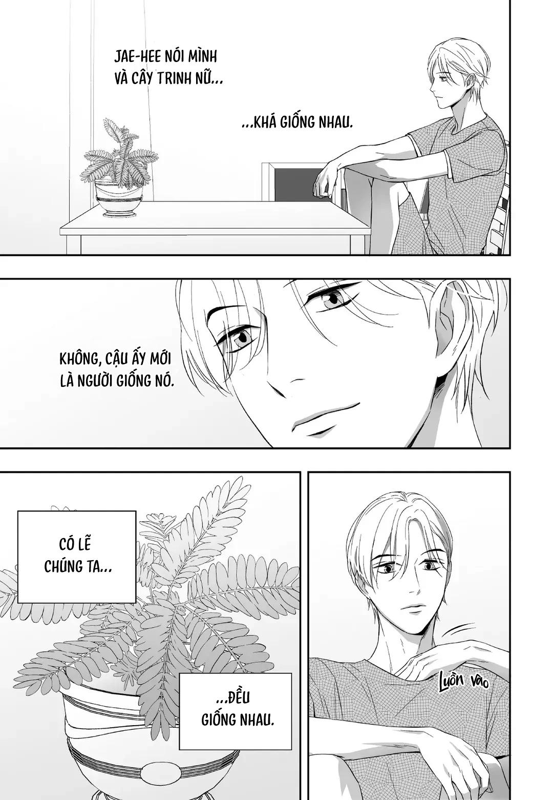 (END) Hai Đôi Tay Sinh Động Chapter 21 - Trang 2