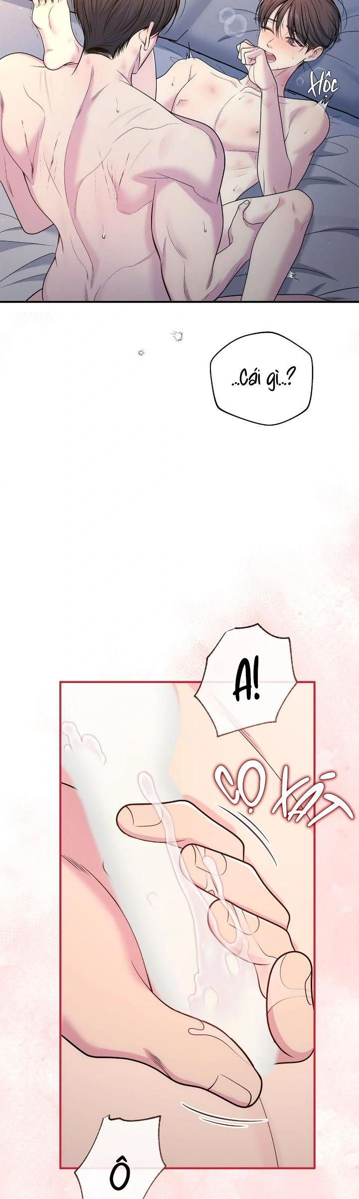 Tình Yêu Bí Mật Chapter 65 End chínhtruyện - Next Chapter 66 Ngoại truyện