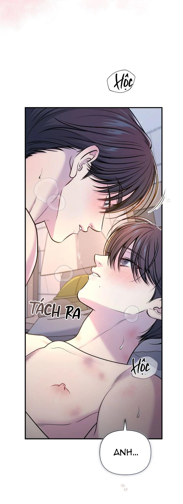 Tình Yêu Bí Mật Chapter 65 End chínhtruyện - Next Chapter 66 Ngoại truyện