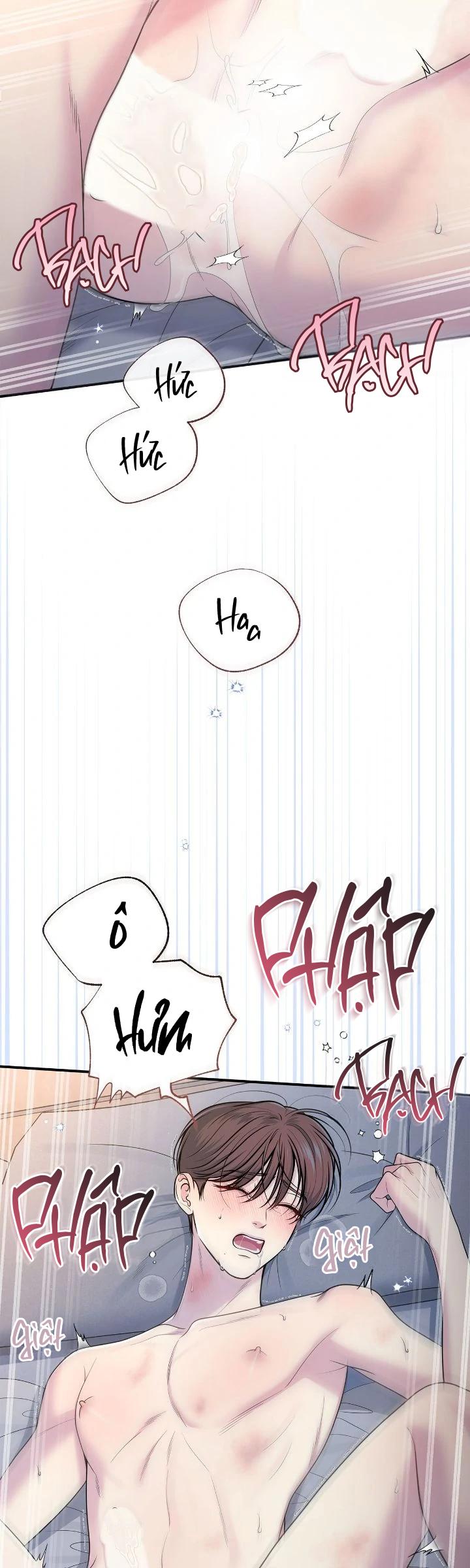 Tình Yêu Bí Mật Chapter 65 End chínhtruyện - Next Chapter 66 Ngoại truyện