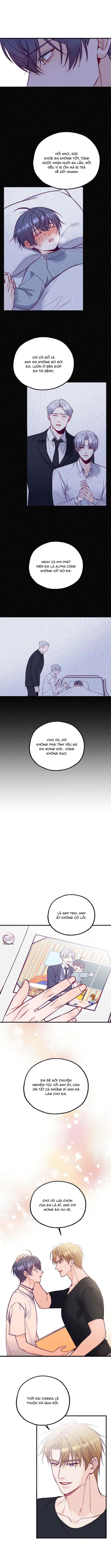 NGƯỜI TÌNH THẾ THÂN CỦA ALPHA Chapter 19 - Trang 2