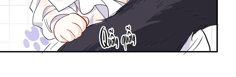 Bản Tình Ca Nụ Hôn Ngục Tù Chapter 35 - Next 