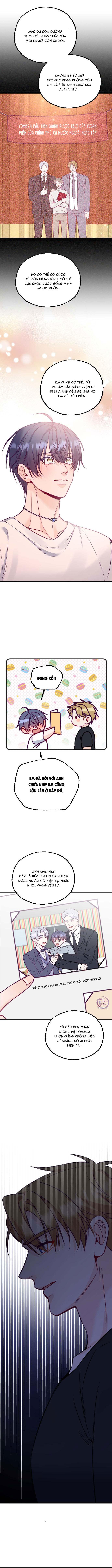 NGƯỜI TÌNH THẾ THÂN CỦA ALPHA Chapter 19 - Trang 2
