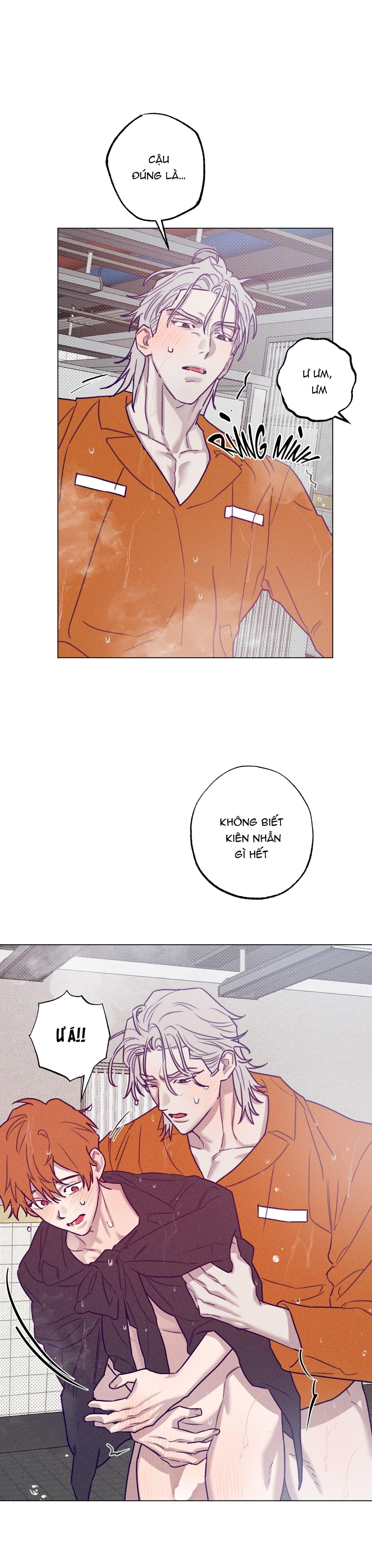 Bữa sáng trong tù Chapter 36 - Next Chapter 36