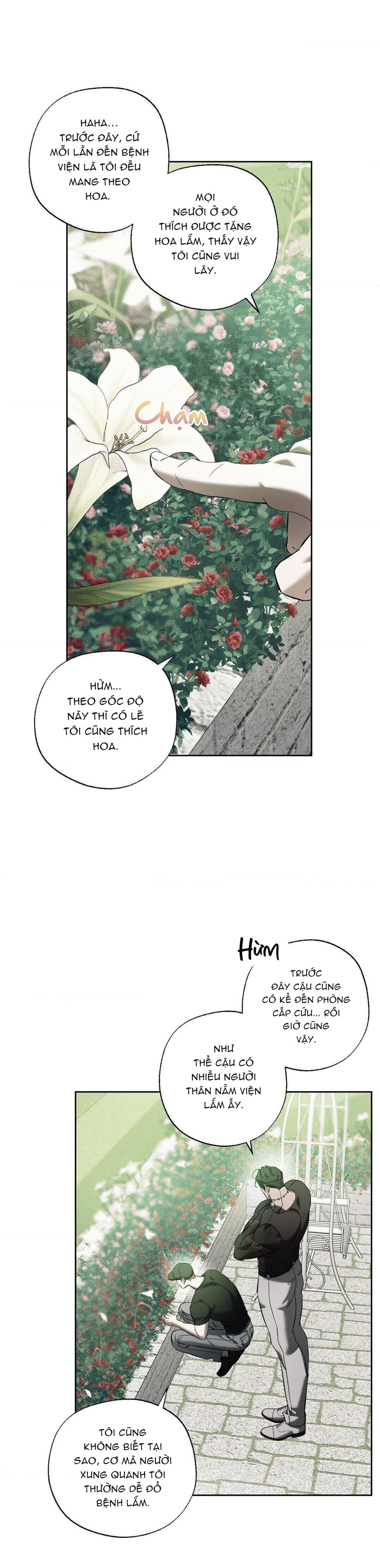 ĐÀN CHÓ SĂN CỦA SISYPHUS Chapter 11 - Next Chapter 12