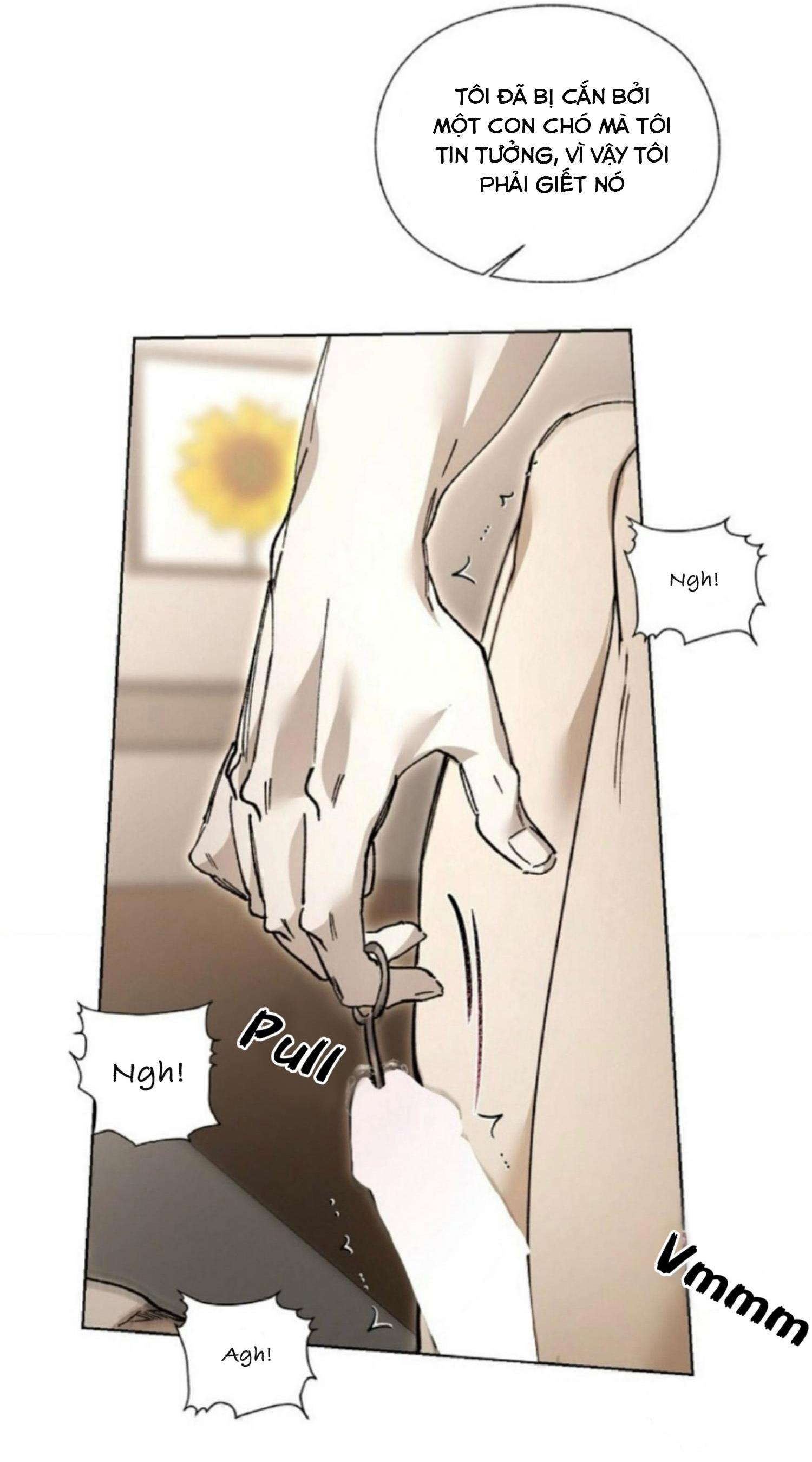 Romance lỗi nhịp Chapter 3 - Next Chapter 4 END