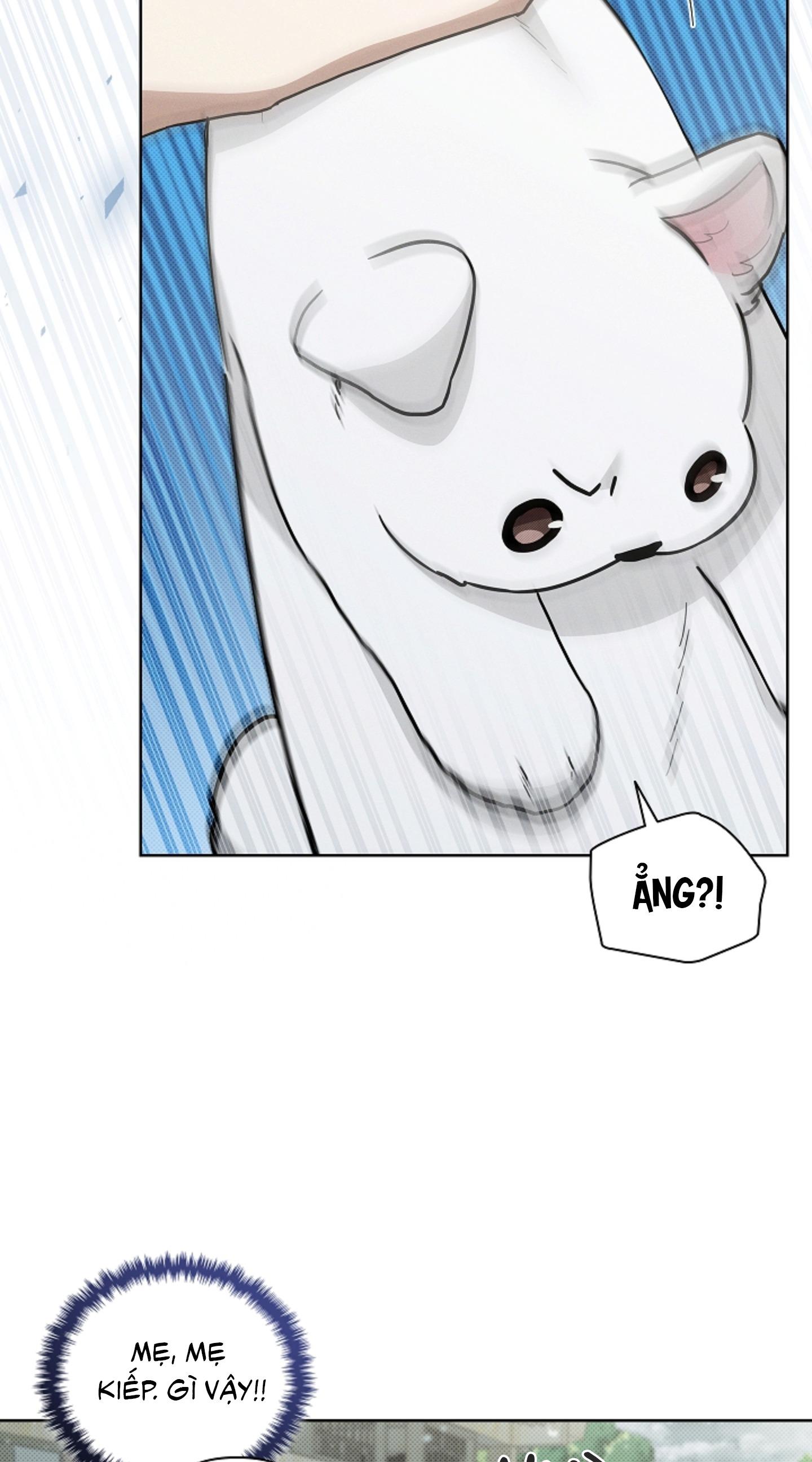 ĐỪNG ĐỘNG VÀO CÚN CON! Chapter 36 - Next Chapter 37