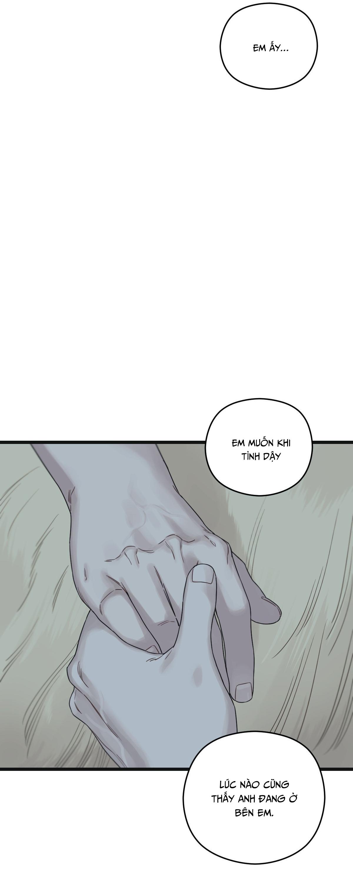 TRÙNG PHÙNG Chapter 54 - Next Chapter 55