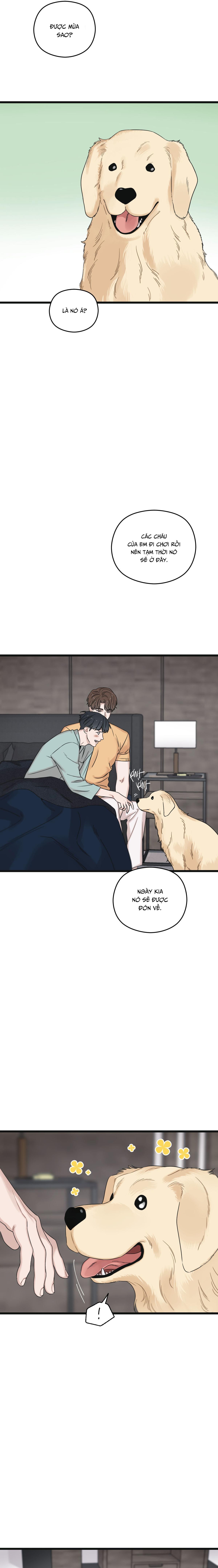 TRÙNG PHÙNG Chapter 53 - Next Chapter 54