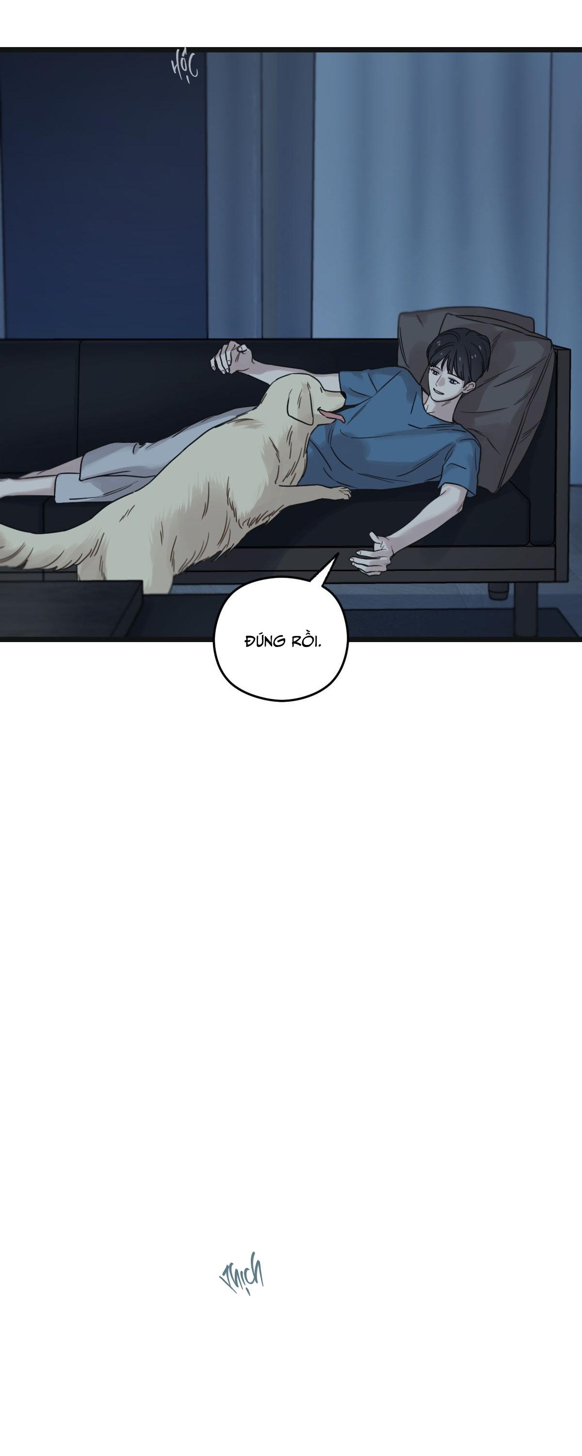 TRÙNG PHÙNG Chapter 54 - Next Chapter 55
