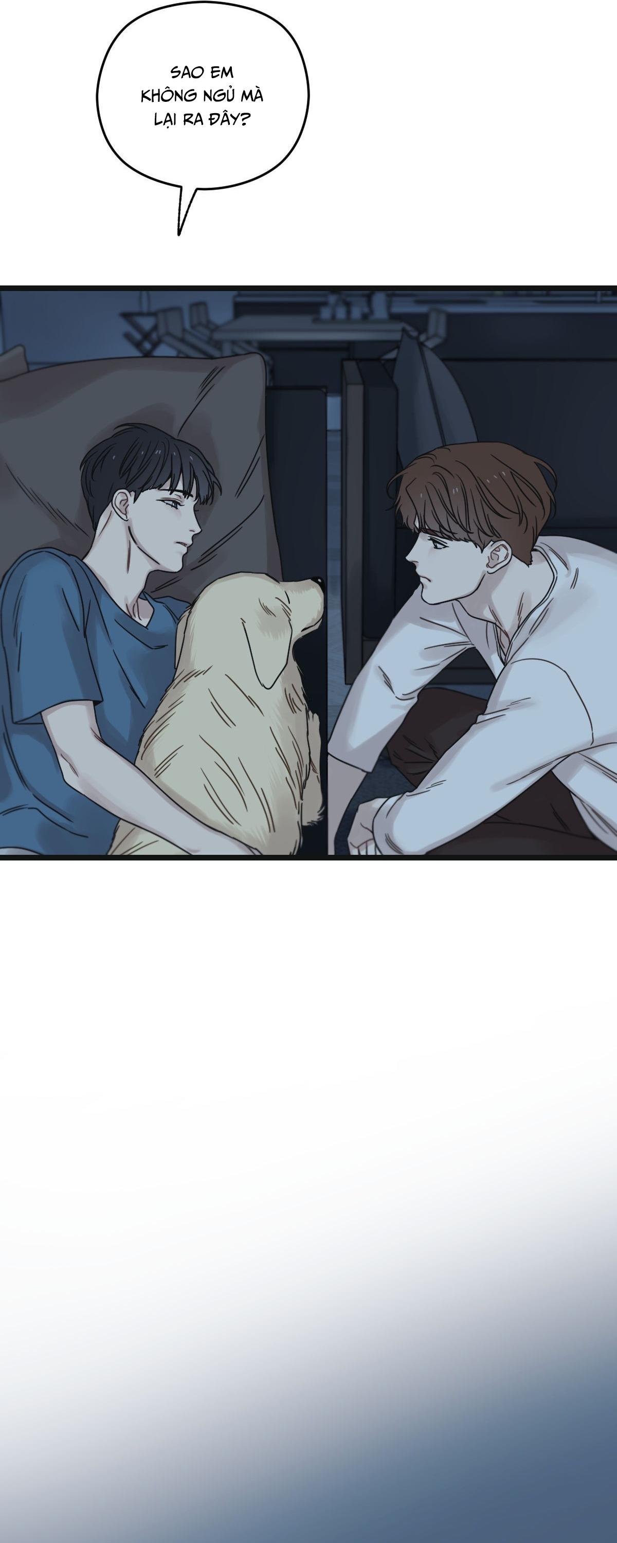 TRÙNG PHÙNG Chapter 54 - Next Chapter 55
