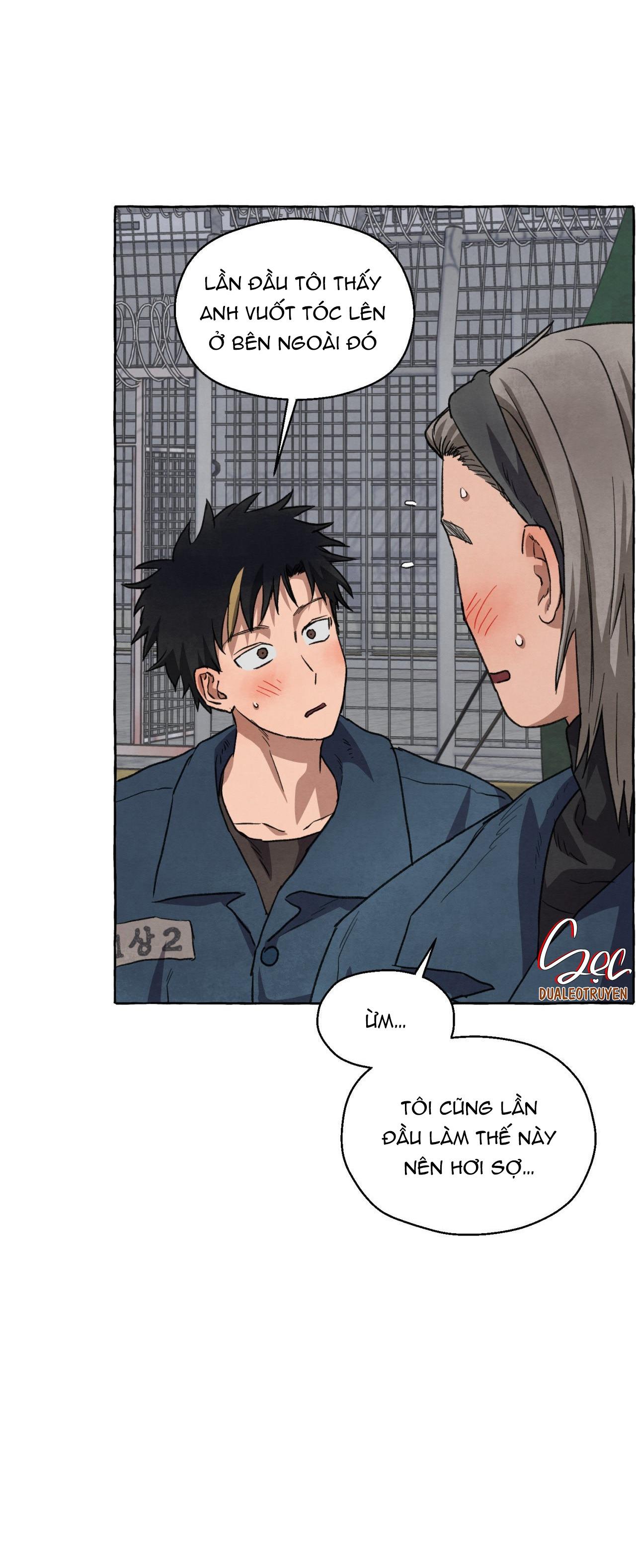 NHỮNG CON CHÓ TRONG TÙ Chapter 63 - Trang 3