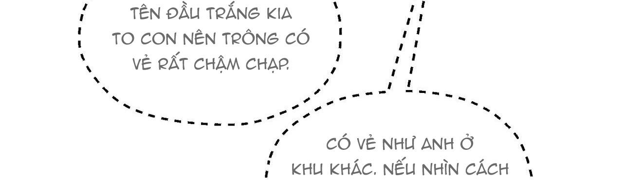 NHỮNG CON CHÓ TRONG TÙ Chapter 63 - Trang 3