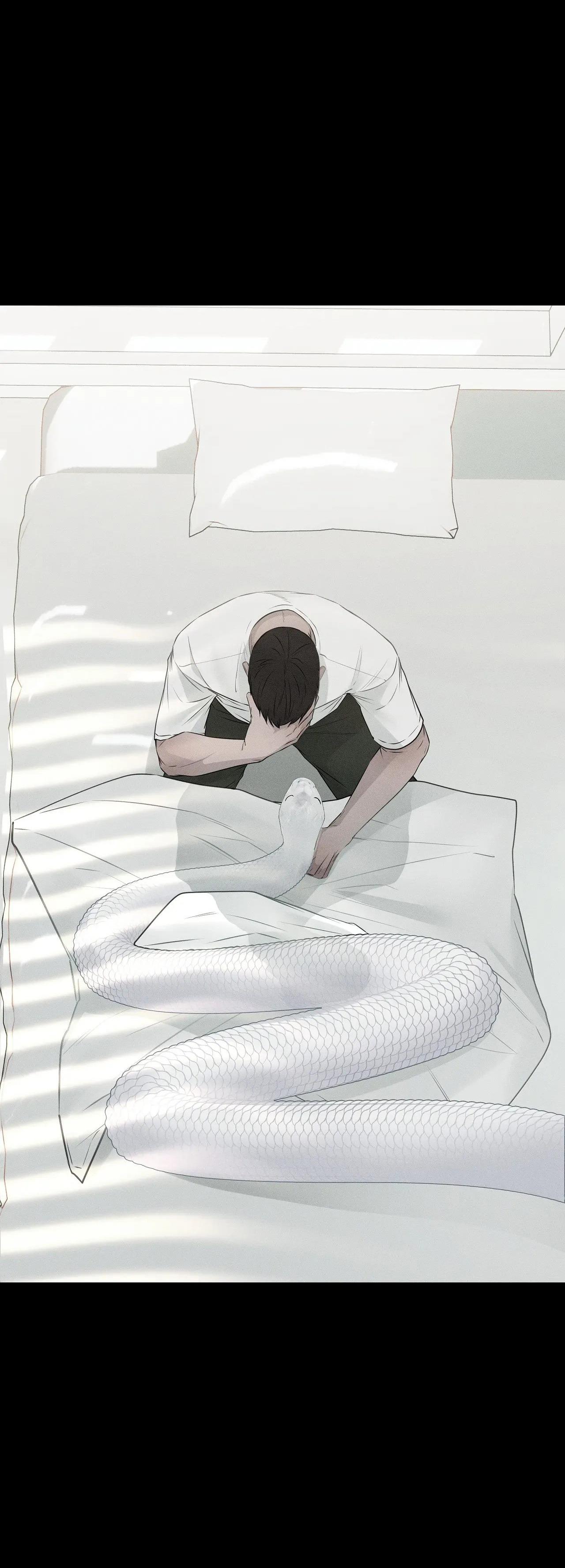 ÂN NHÂN CỦA RẮN Chapter 27 - Next Chapter 28