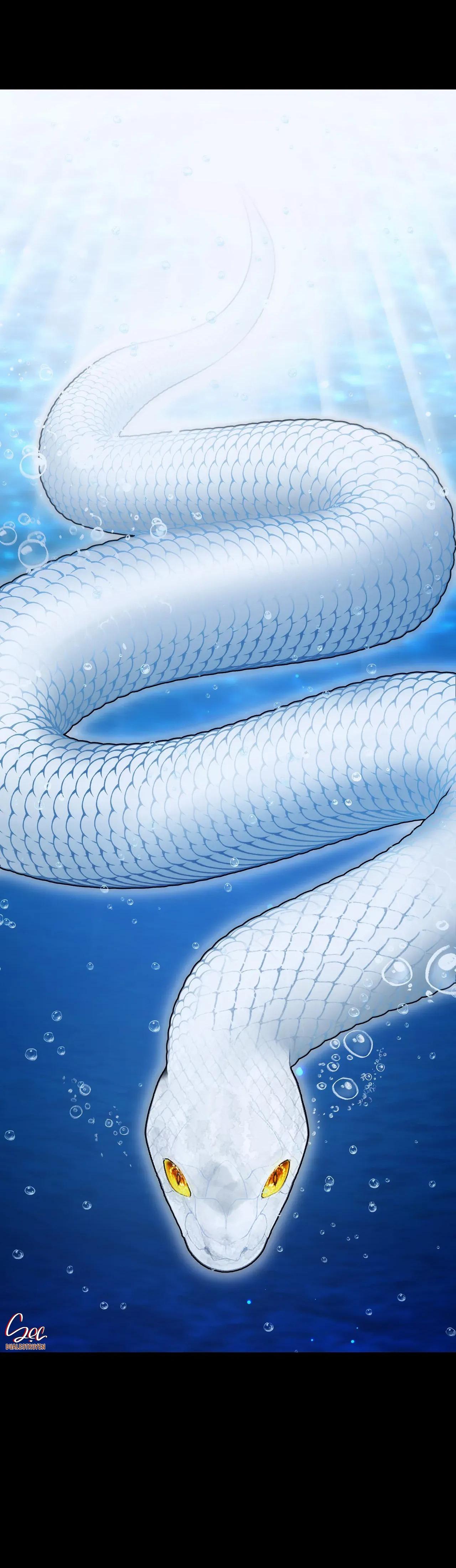 ÂN NHÂN CỦA RẮN Chapter 27 - Next Chapter 28