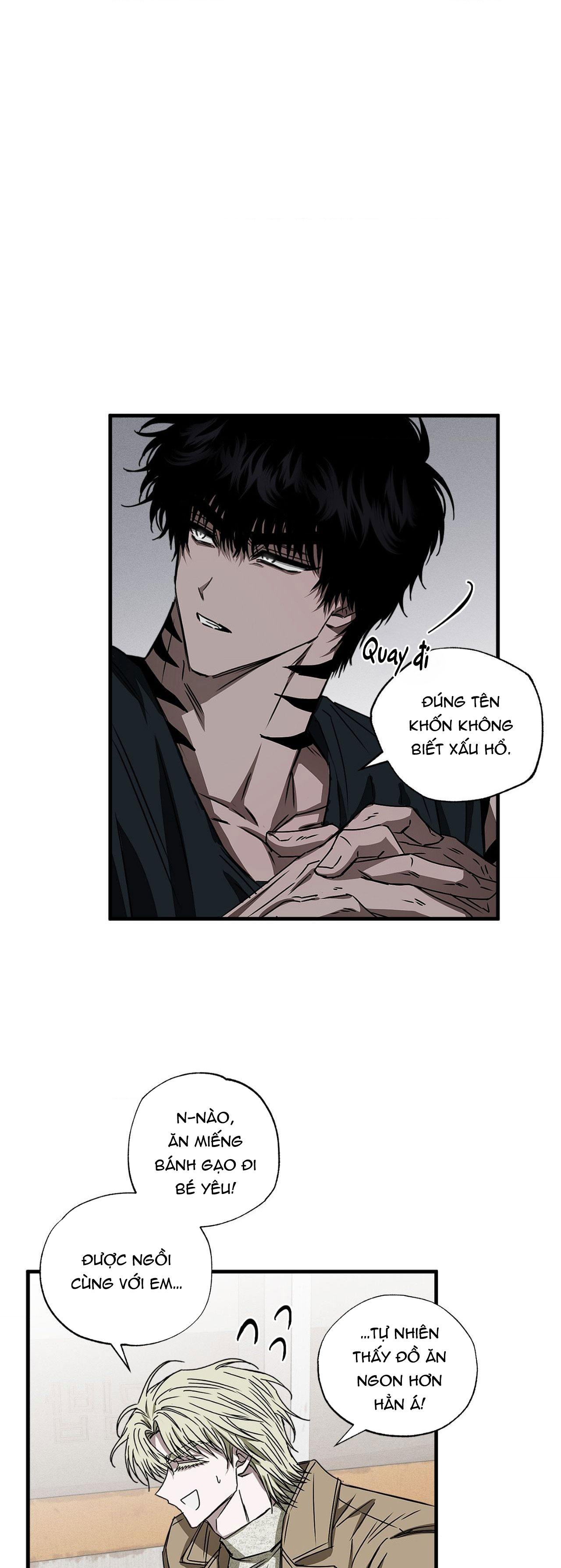 MẮT BÃO Chapter 3 - Next Chapter 4