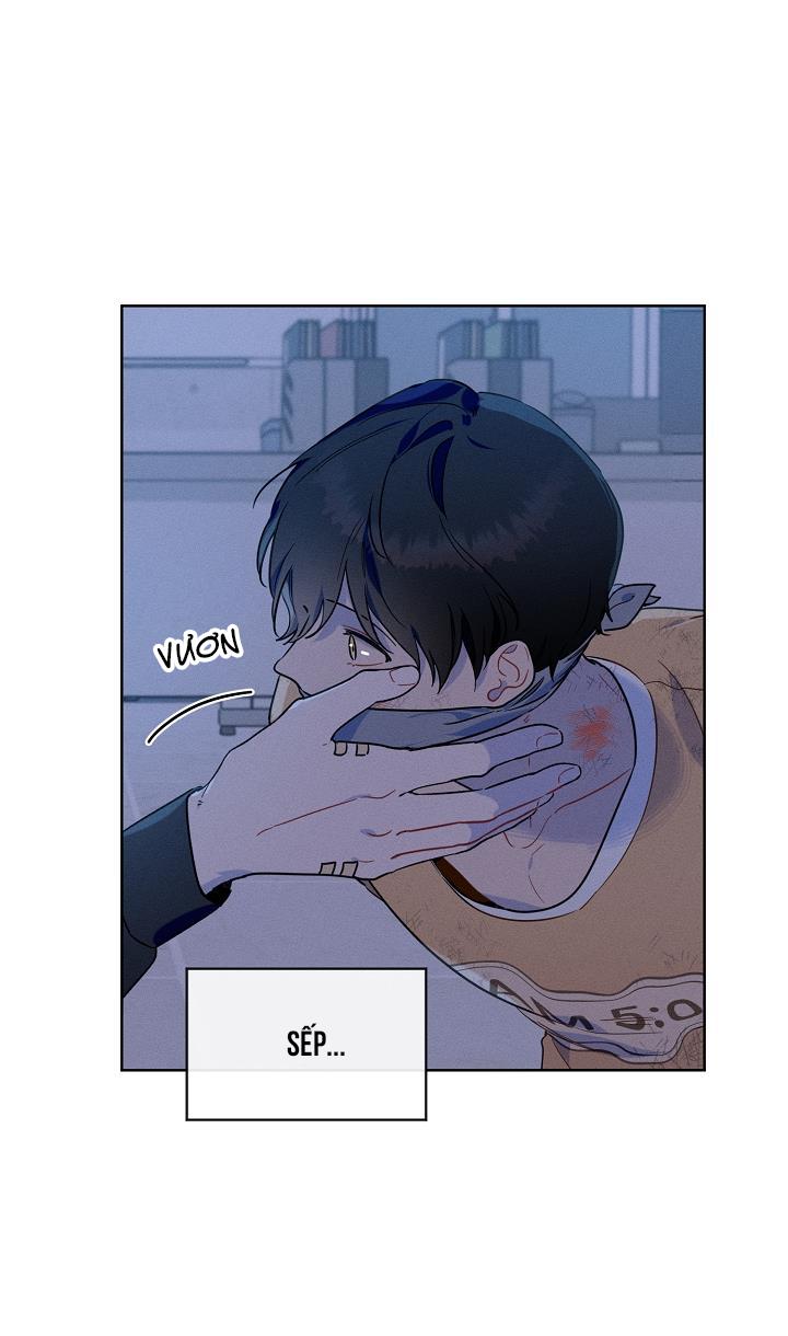 Tố Cáo Sếp Tôi Chapter 14 - Next Chapter 15