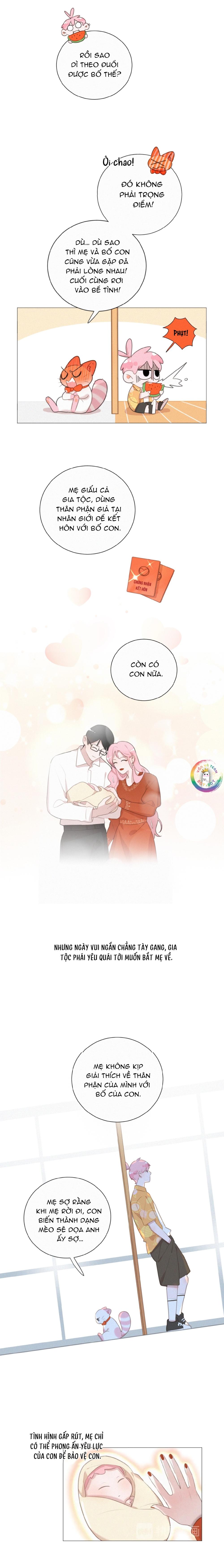 Xã Hội Mồn Lèo Chapter 77 - Next Chapter 78