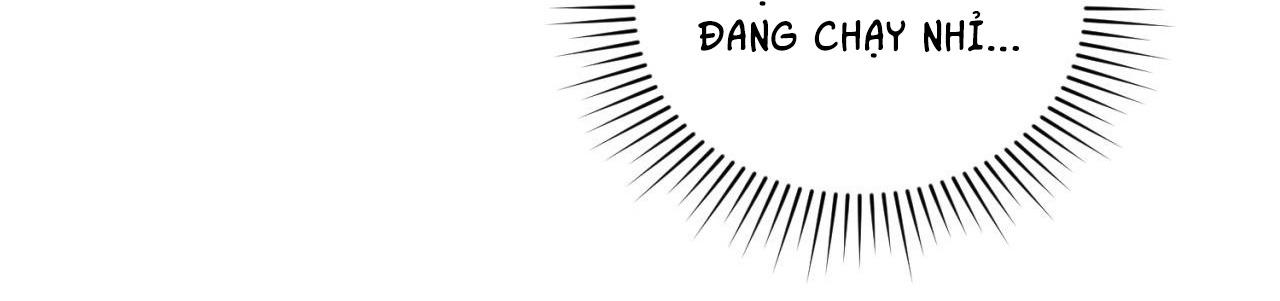 NHỮNG CON CHÓ TRONG TÙ Chapter 63 - Trang 3