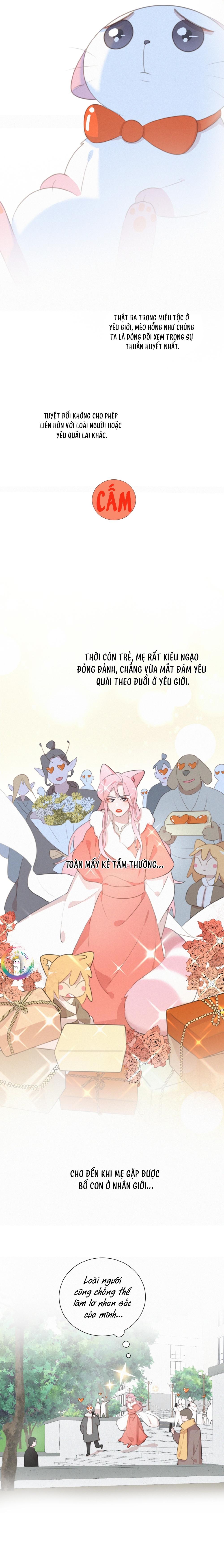Xã Hội Mồn Lèo Chapter 77 - Next Chapter 78