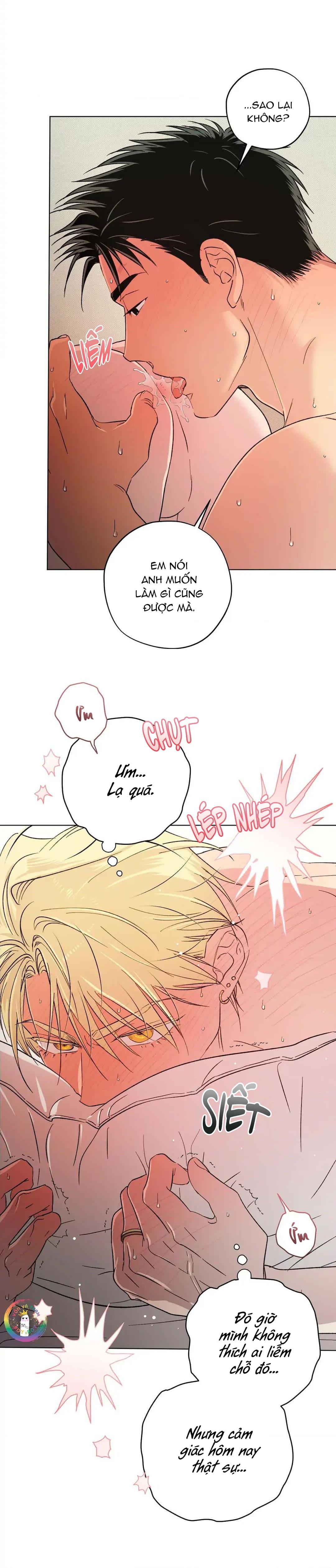 Tay Đua Đỉnh Cao Chapter 32 Dập tơi bời - Next 