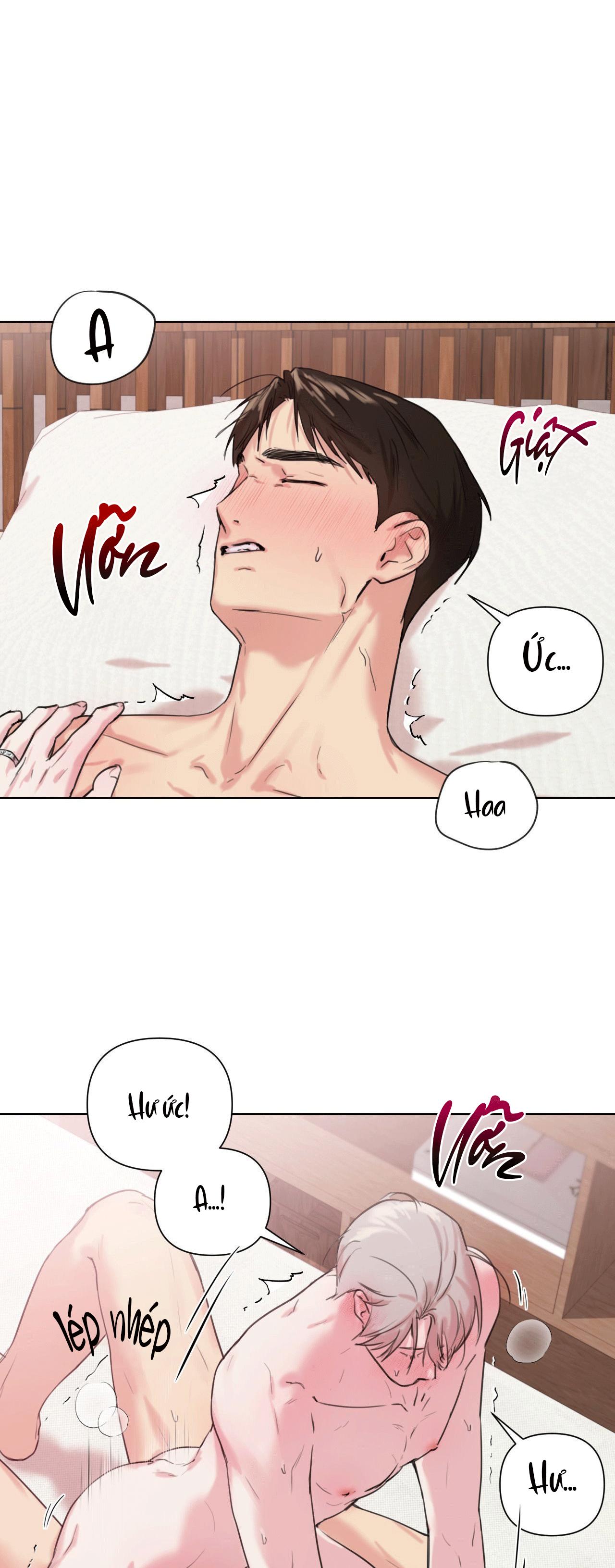 TU HÚ KHÔNG RỜI KHỎI TỔ Chapter 5 - Next Chapter 6