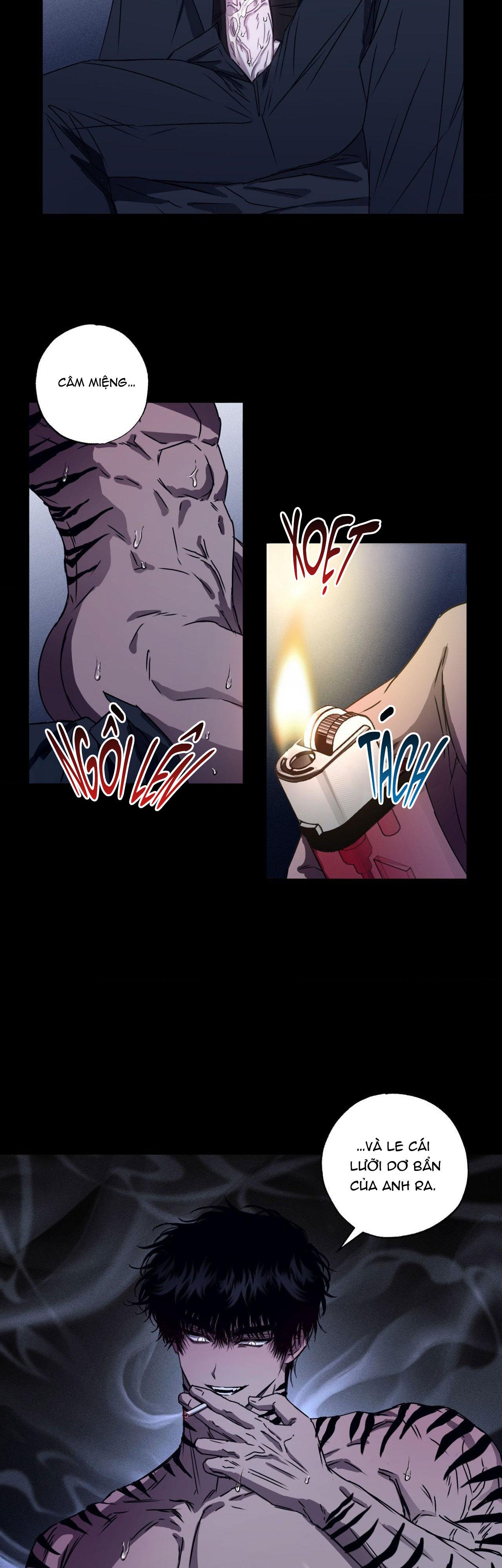 MẮT BÃO Chapter 1 - Next Chapter 2