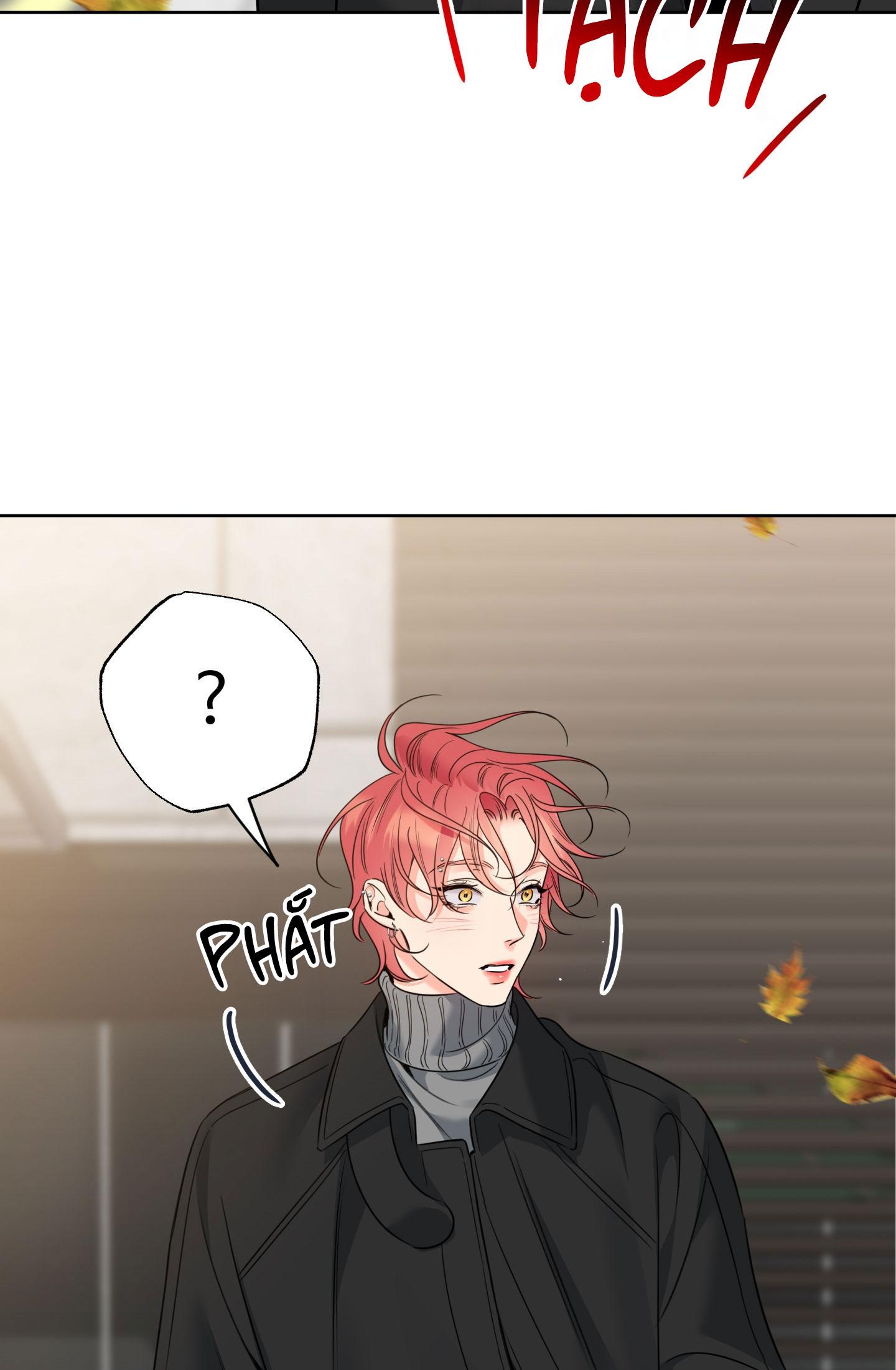 HONEY TROUBLE Chapter 40 - Next Chapter 41