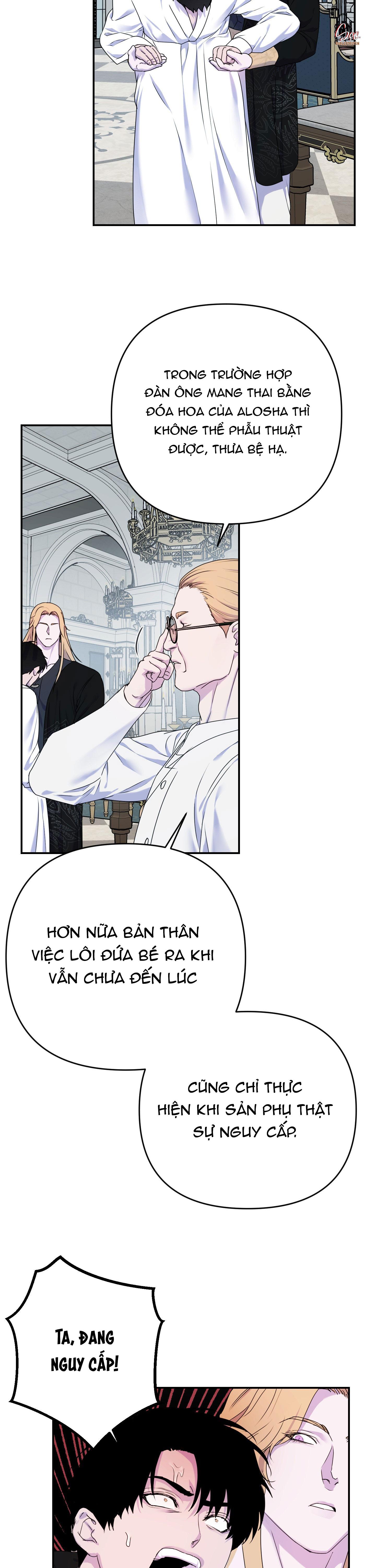 ĐÓA HOA CỦA ALOSHA Chapter 35 - Next 