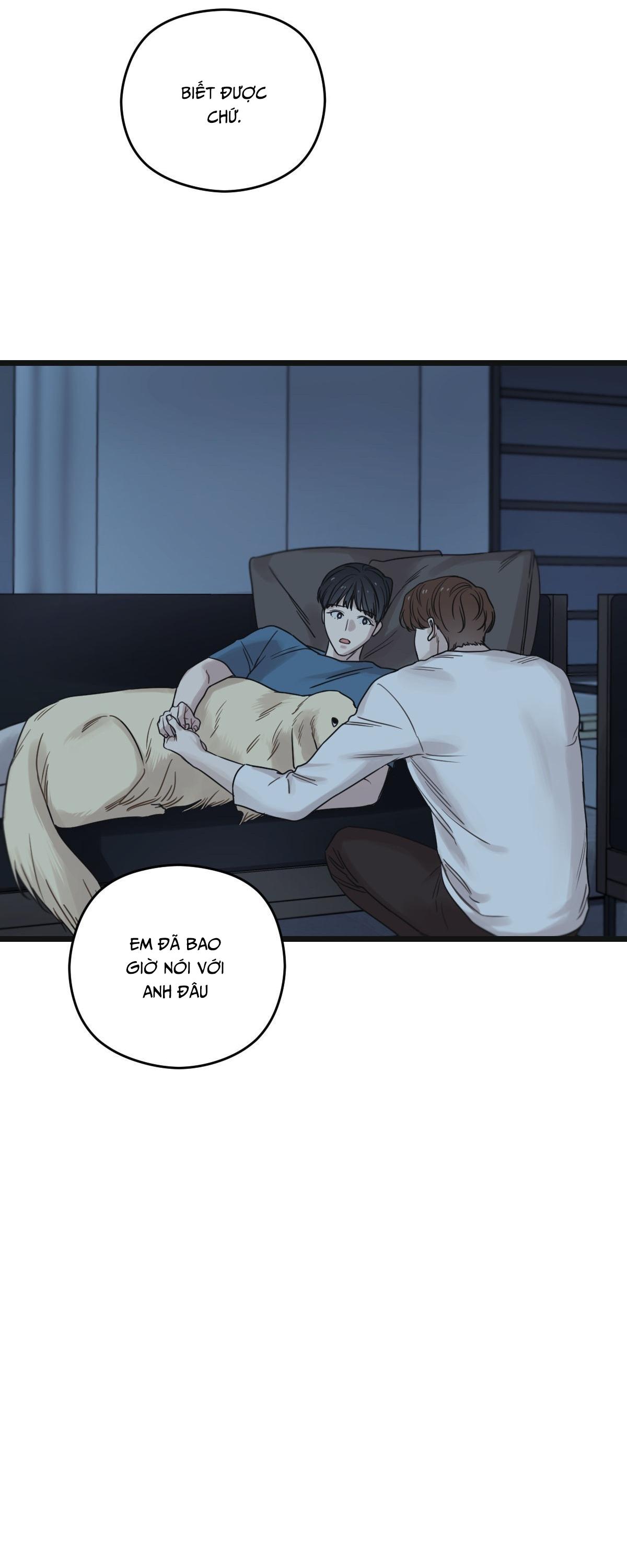 TRÙNG PHÙNG Chapter 54 - Next Chapter 55