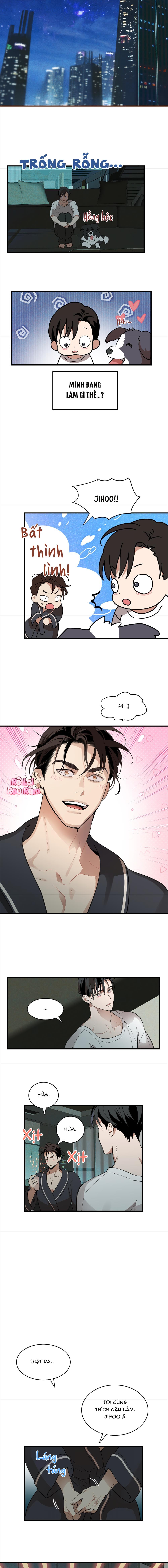 TÌNH YÊU LÔNG XÙ Chapter 3 - Next Chapter 4 H++