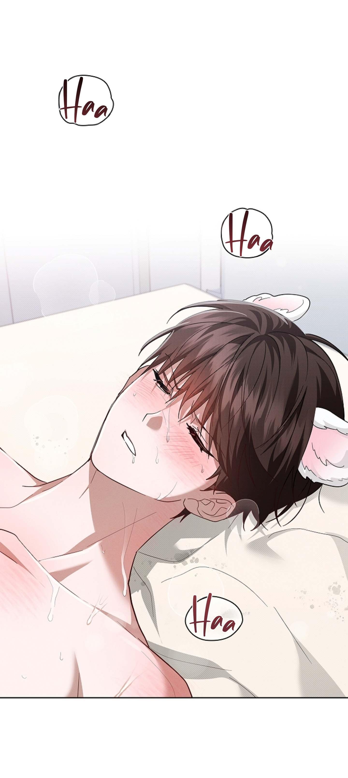 ĐỪNG ĐỘNG VÀO CÚN CON! Chapter 41 - Next 