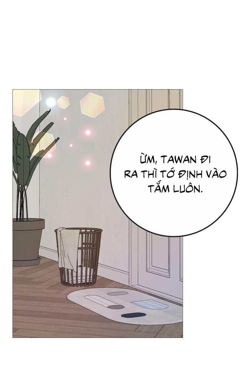 Flower of youth Chapter 36 - Next Chapter 37