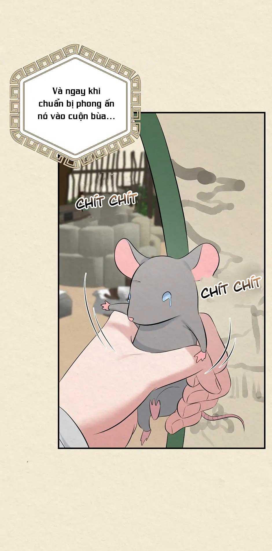 TỔNG HỢP MANHWA BL NGẮN Chapter 4.2 END - Next 