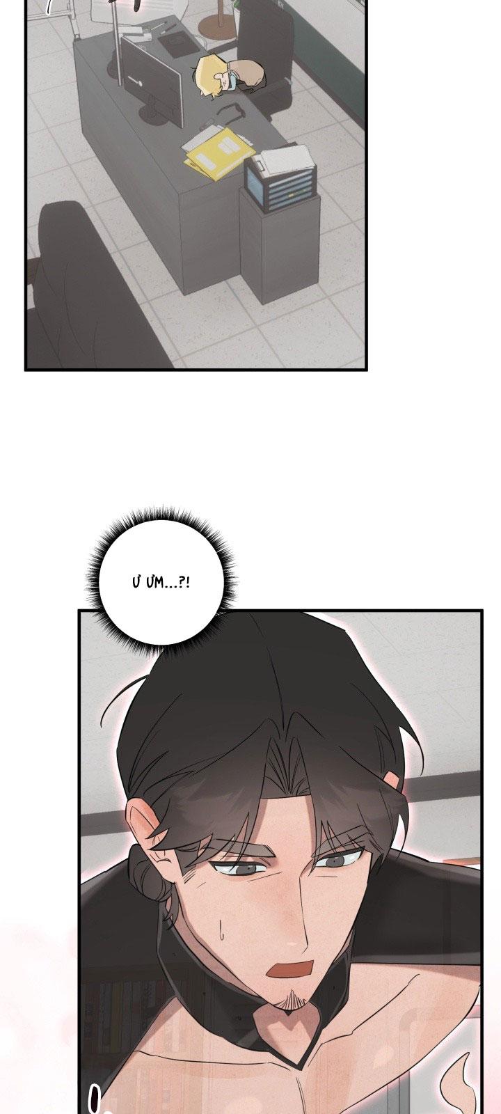 ĐẠI CA DÂM ĐÃNG Chapter 2 - Next 