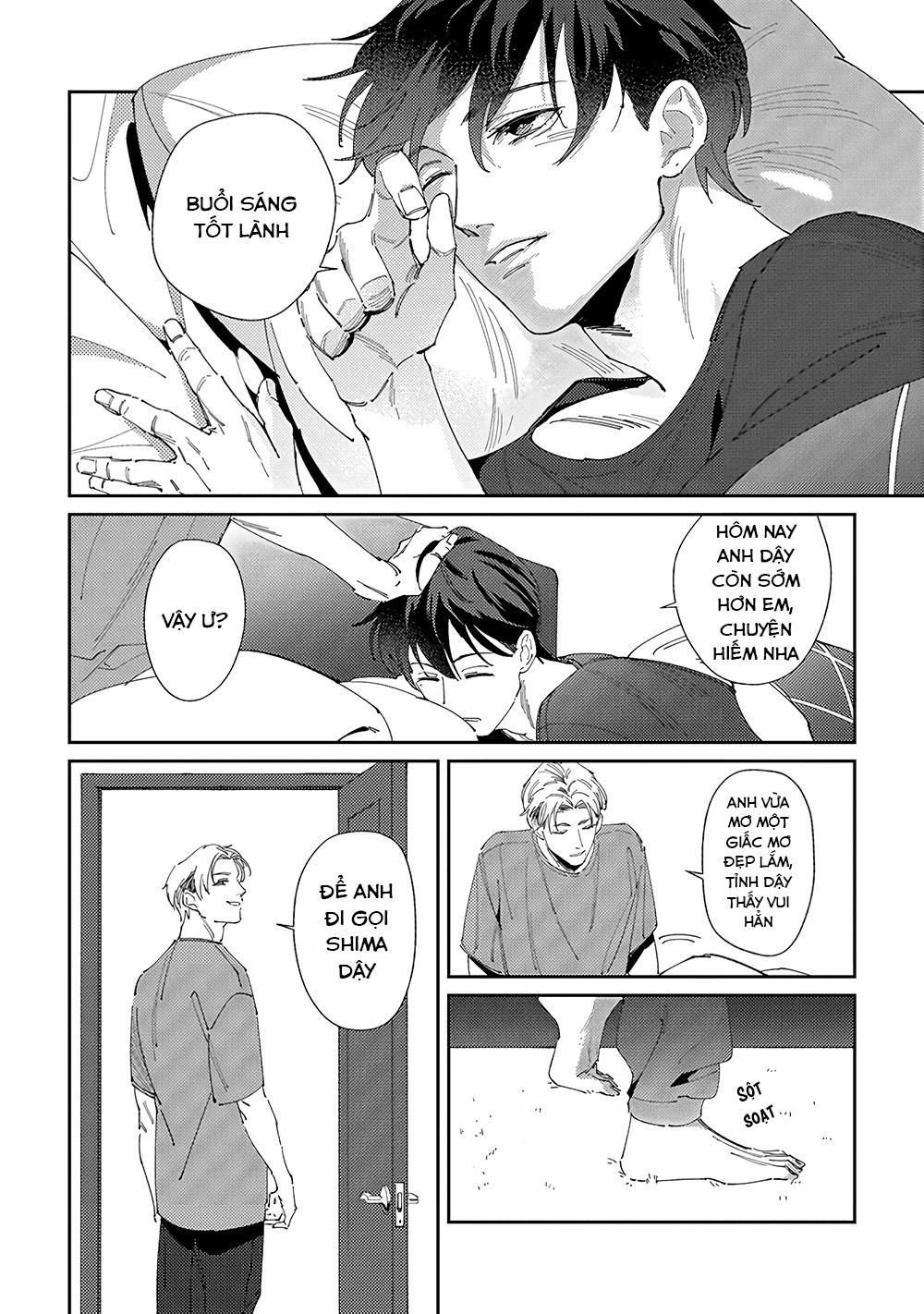 Chuyện Về Cặp Đôi Nhà Shima-chan Chapter 1 - Trang 2