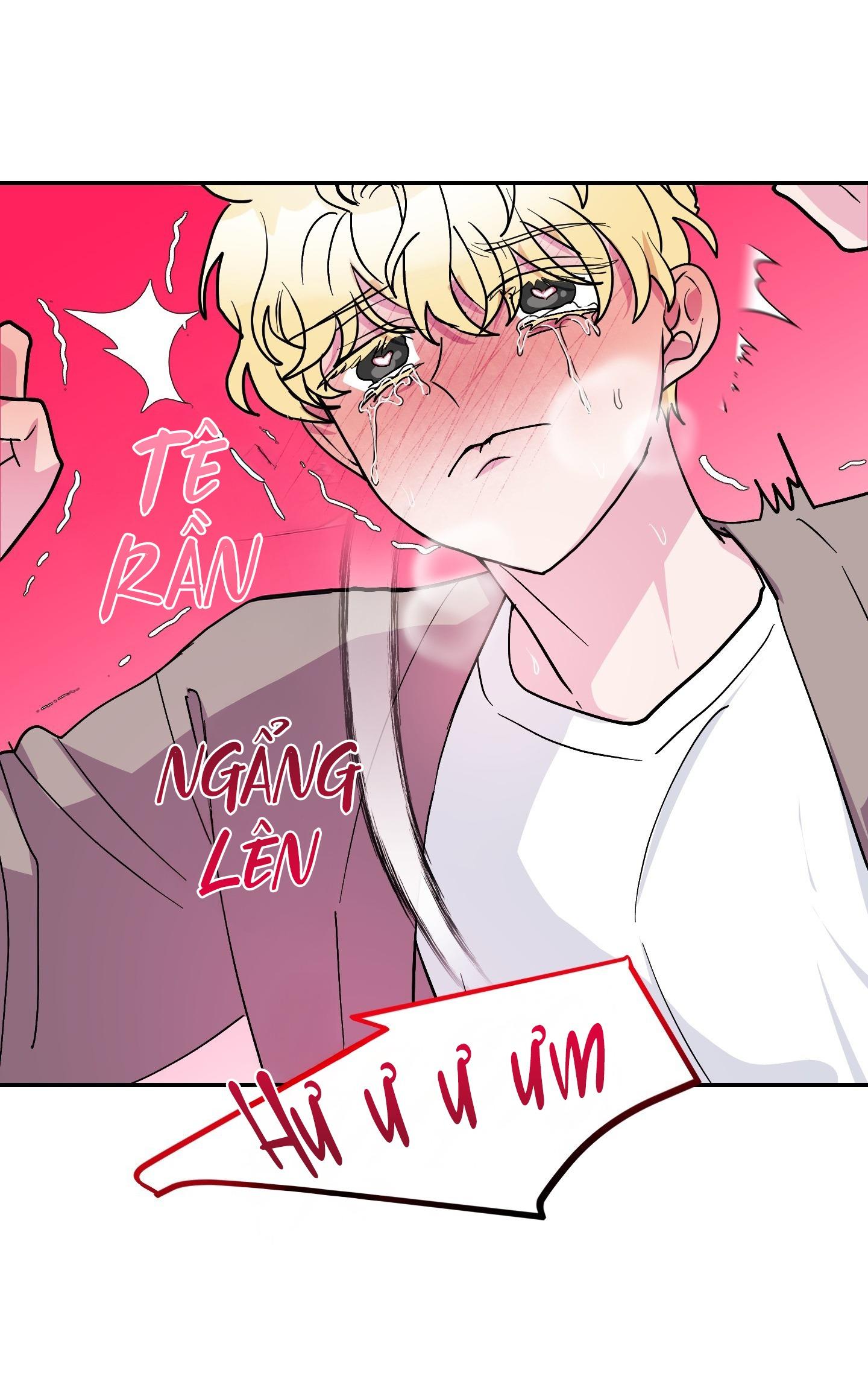 CÁ MẬP VÀ CÔ DÂU THỎ Chapter 56 - Next Chapter 57
