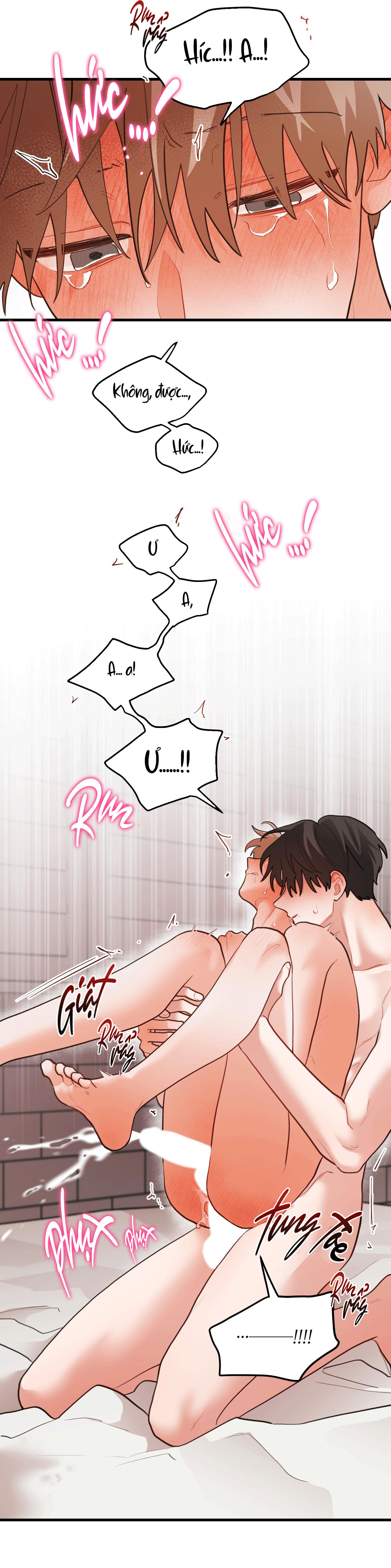 CHUYỆN TÌNH HOA LÊ NỞ Chapter 81 - Next Chapter 82