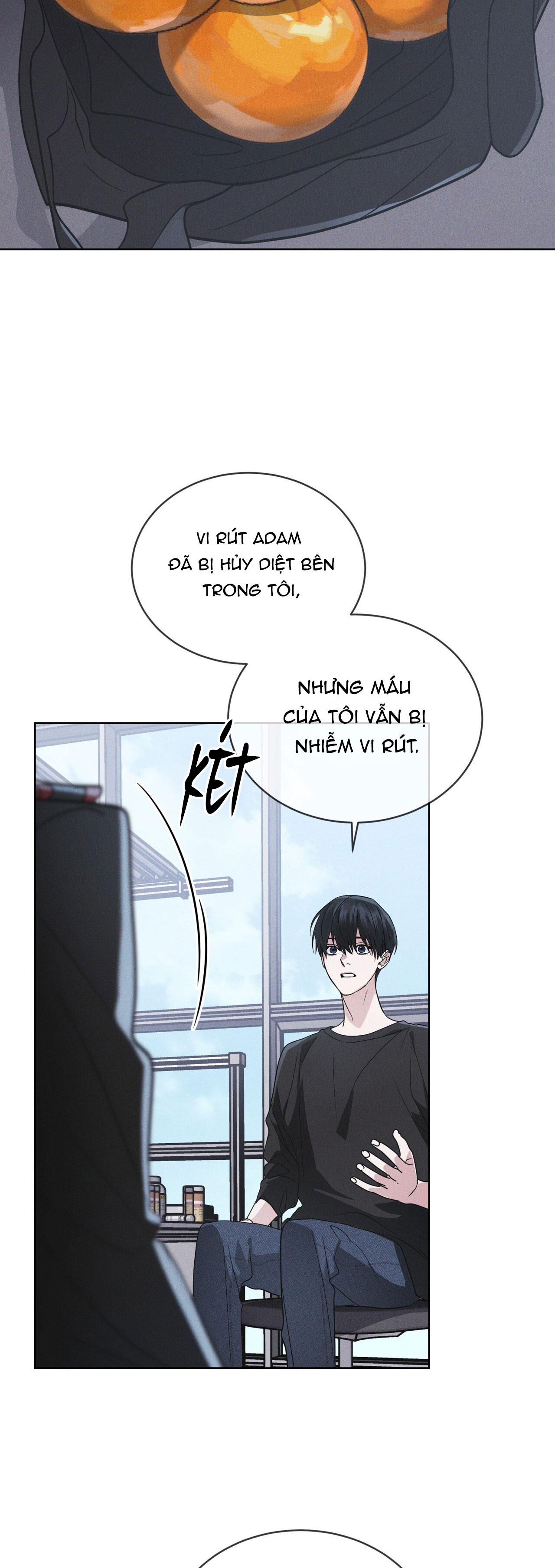 THÀNH PHỐ CẦU VỒNG Chapter 73 - Next Chapter 74